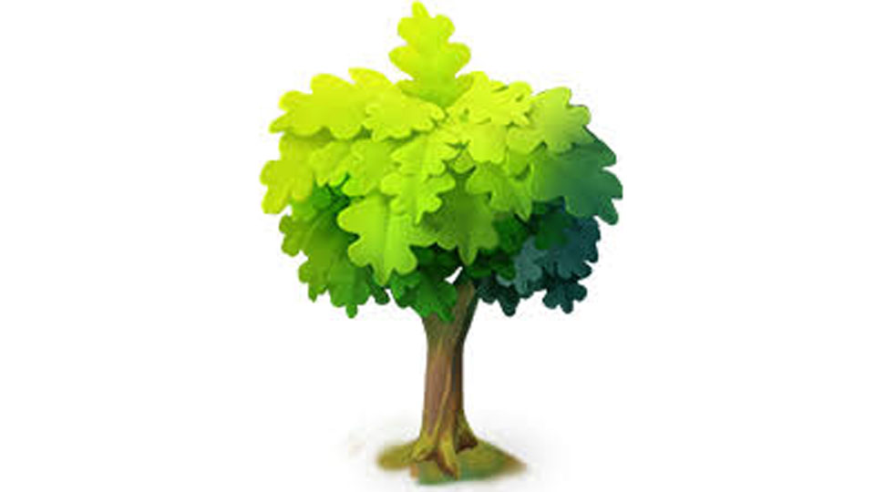 Merge Gardens Oak Trees Levels: Unlock Growth & Rewards 1 Merge Gardens Oak Trees Levels