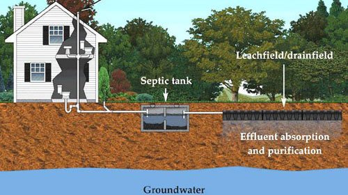 Can Ridex Be Used With Sandmounds